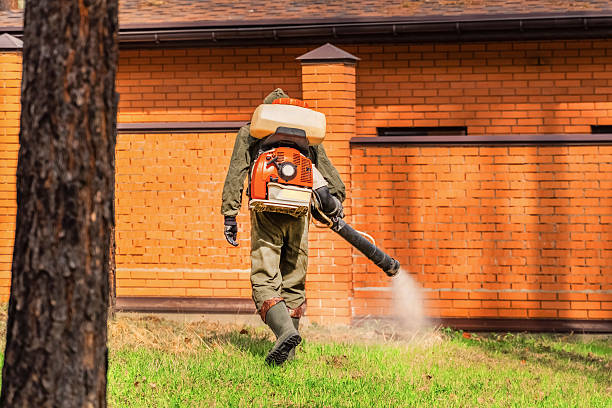 Trusted Ant Control service in Heron Bay, GA - Nex Pest Control